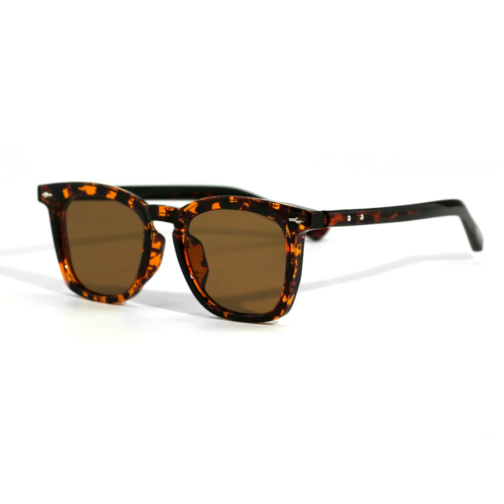 women’s polarized sunglasses in new zealand